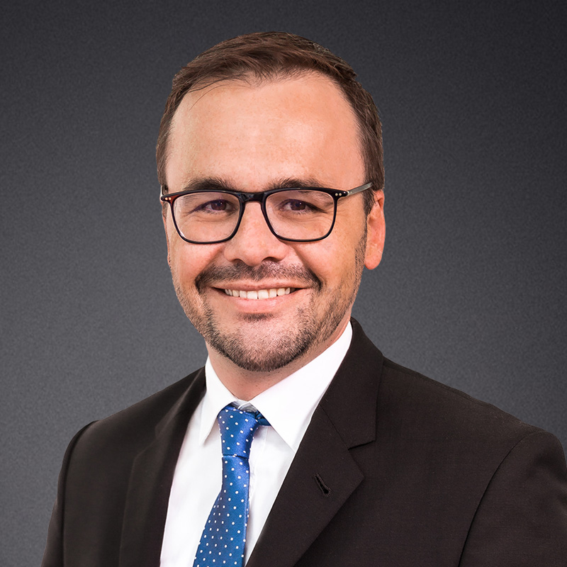 Dr. Jan Redmann MdL